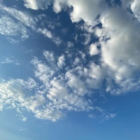 Apartament Zielone Park