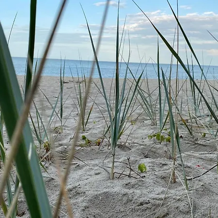 Zielone Park * Rozewie