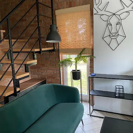 Zielone Park * Rozewie