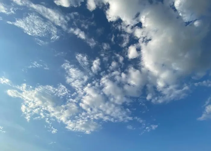 Apartament Zielone Park