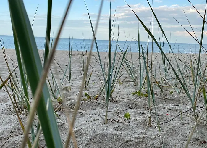 Zielone Park * Rozewie