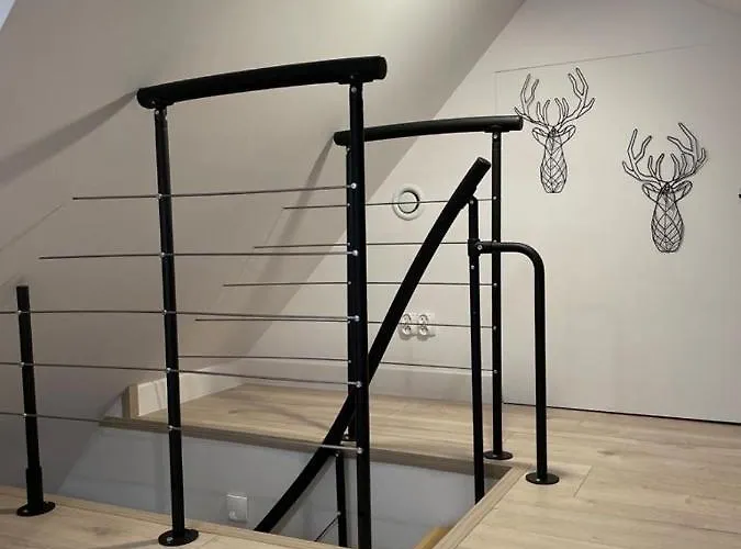 Zielone Park * Rozewie