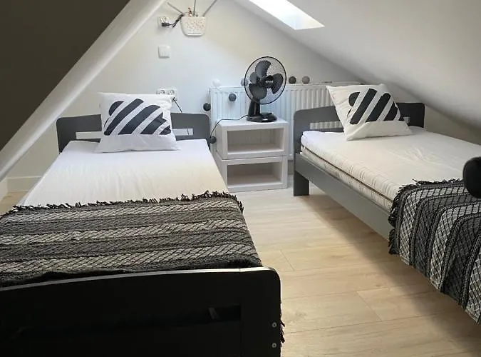 Zielone Park * Rozewie